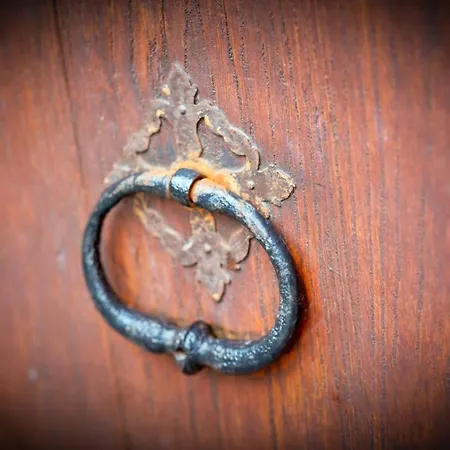 Jehanne L'elegance Medievale *